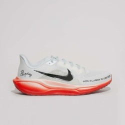 Nike Pegasus 41 - Pour Amateurs de Running